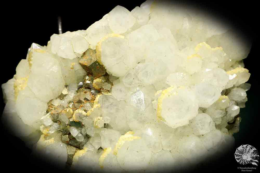 Quartz XX with Pyrite XX a mineral