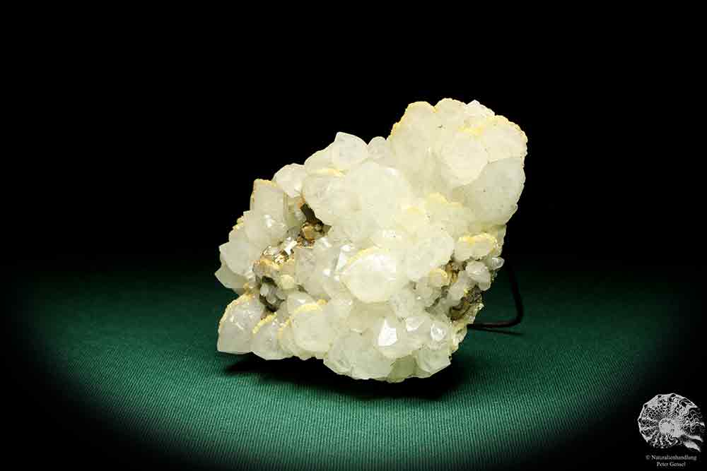 Quartz XX with Pyrite XX a mineral