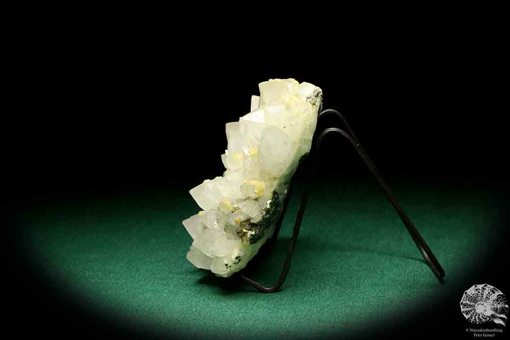 Quartz XX with Pyrite XX a mineral