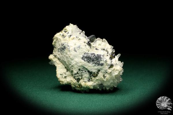 Tetraedrit XX & Pyrit XX auf Quarz XX (20029) ein Mineral aus Rumänien | Mineralien | Weltweit