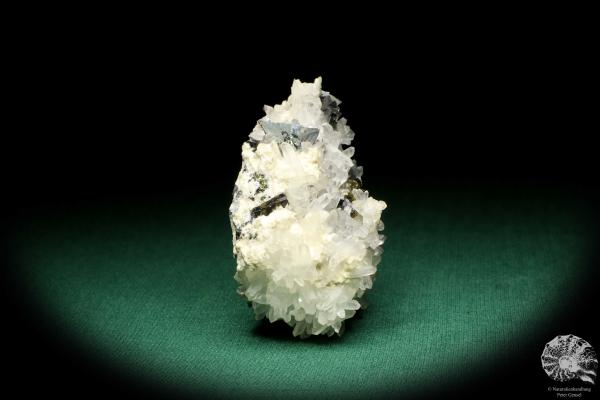 Tetrahedrite XX & Pyrite XX on Quartz XX (20029) a mineral from Romania | Minerals | Global