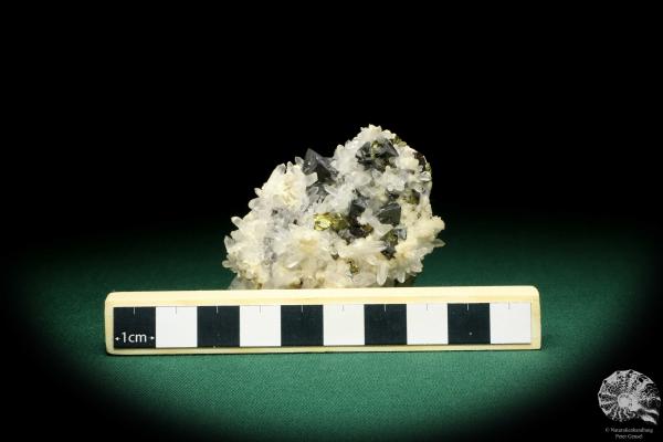 Tetrahedrite XX & Pyrite XX on Quartz XX (20029) a mineral from Romania | Minerals | Global