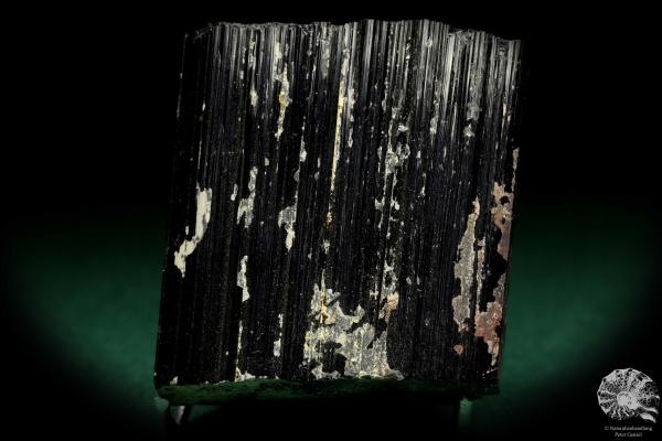 Black Tourmaline XX a mineral