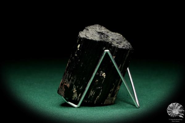 Black Tourmaline XX a mineral