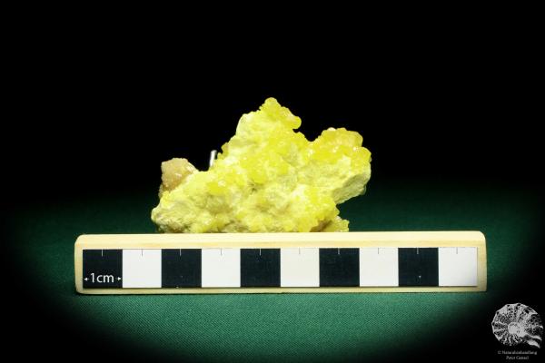 Sulfur XX a mineral