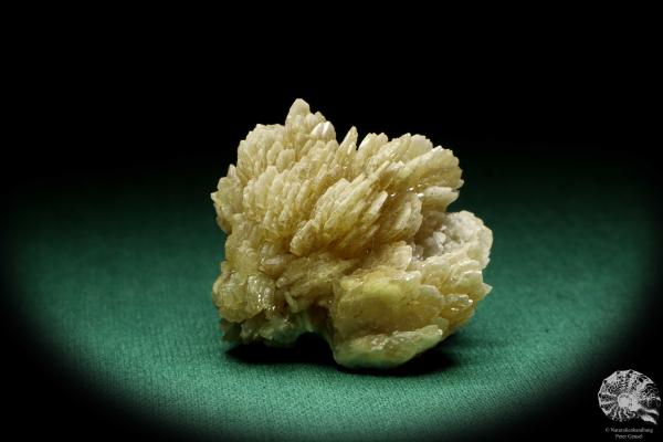 Baryte XX (20037) a mineral from Poland | Minerals | Global