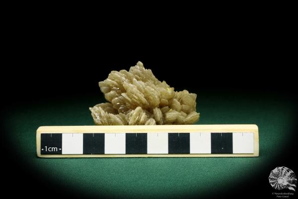 Baryte XX (20037) a mineral from Poland | Minerals | Global