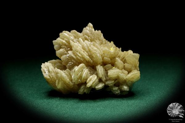 Baryte XX a mineral