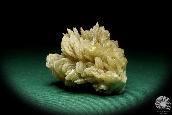 Baryte XX a mineral