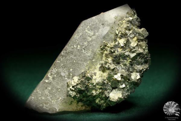 Quarz XX mit Pyrit XX (20038) ein Mineral aus Kasachstan | Mineralien | Weltweit