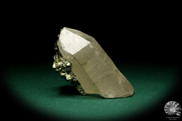 Quartz XX with Pyrite XX a mineral