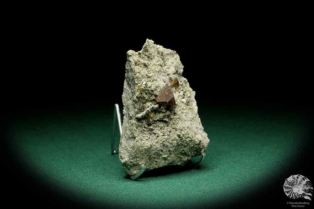 Honigblende XX ein Mineral