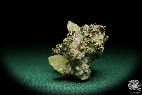 Calcite XX and Chalcopyrite XX on Ankerite XX (20042) a mineral from USA | Minerals | Global