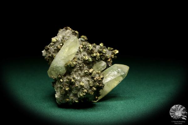 Calcite XX and Chalcopyrite XX on Ankerite XX (20042) a mineral from USA | Minerals | Global