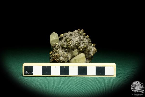 Calcite XX and Chalcopyrite XX on Ankerite XX (20042) a mineral from USA | Minerals | Global