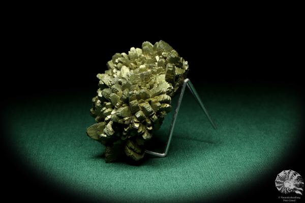 Marcasite XX (20107) a mineral from Spain | Minerals | Global