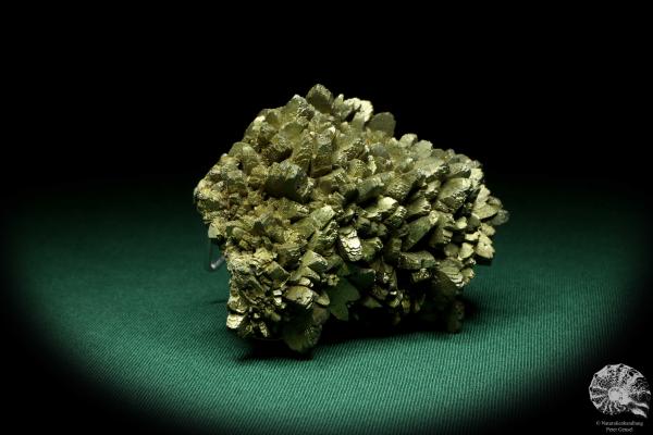 Markasit XX (20107) ein Mineral aus Spanien | Mineralien | Weltweit