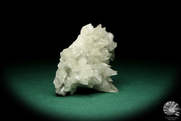 Calcite XX (20108) a mineral from Spain | Minerals | Global