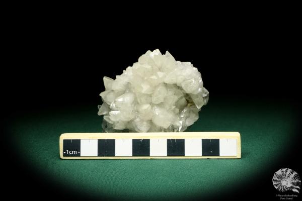 Calcit XX (20108) ein Mineral aus Spanien | Mineralien | Weltweit