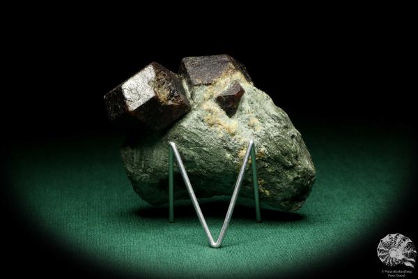 Almandin XX (20109) ein Mineral aus Österreich | Mineralien | Weltweit