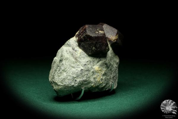 Almandin XX (20109) ein Mineral aus Österreich | Mineralien | Weltweit