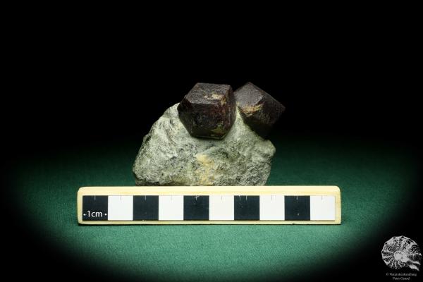 Almandine XX (20109) a mineral from Austria | Minerals | Global