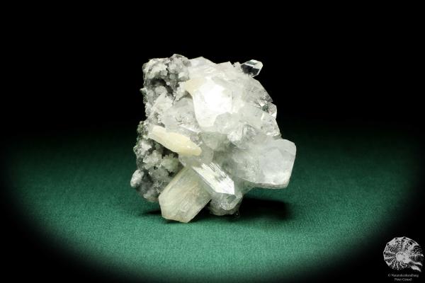 Apophylite XX & Stilbite XX (20113) a mineral from India | Minerals | Global