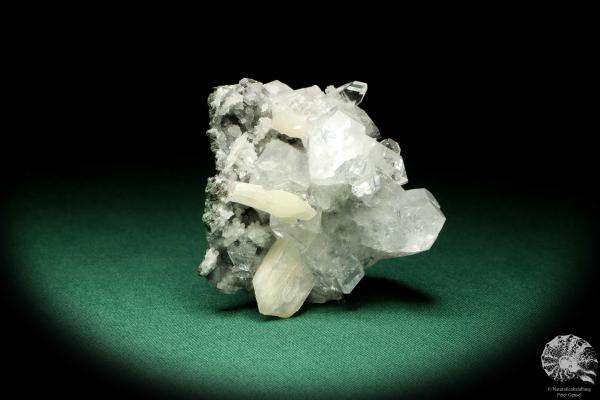 Apophylite XX & Stilbite XX (20113) a mineral from India | Minerals | Global