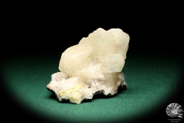 Stilbit XX (20114) ein Mineral aus Indien | Mineralien | Weltweit