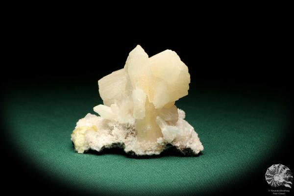 Stilbit XX (20114) ein Mineral aus Indien | Mineralien | Weltweit