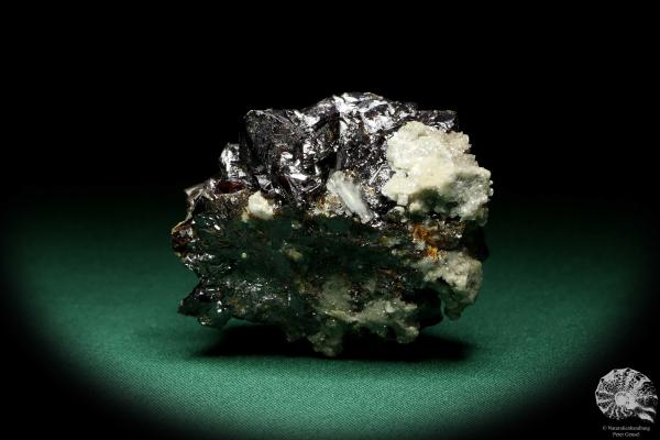 Sphalerit XX (20115) ein Mineral aus USA | Mineralien | Weltweit