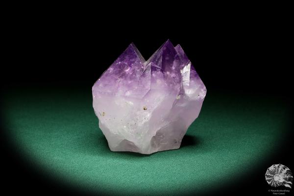 Amethyst XX (20119) ein Mineral aus Südamerika | Mineralien | Weltweit