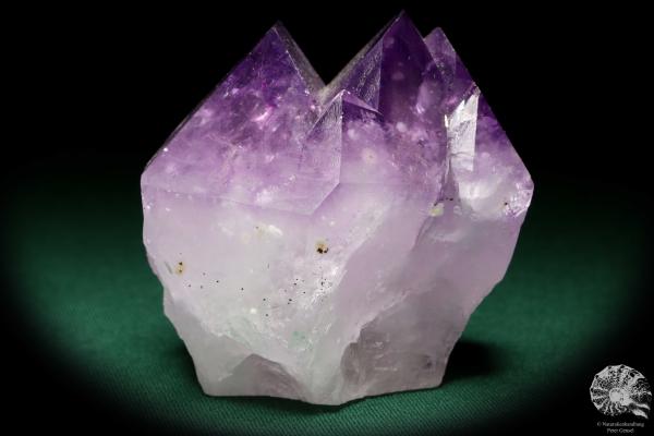 Amethyst XX (20119) ein Mineral aus Südamerika | Mineralien | Weltweit