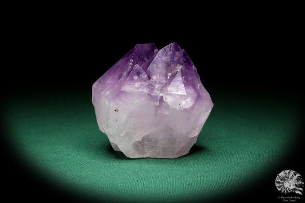 Amethyst XX (20119) ein Mineral aus Südamerika | Mineralien | Weltweit