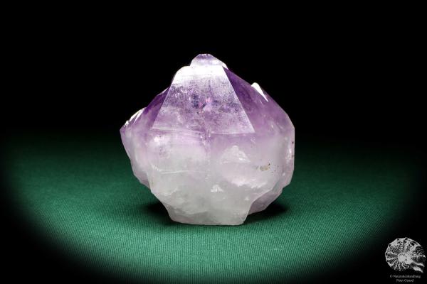 Amethyst XX (20119) ein Mineral aus Südamerika | Mineralien | Weltweit