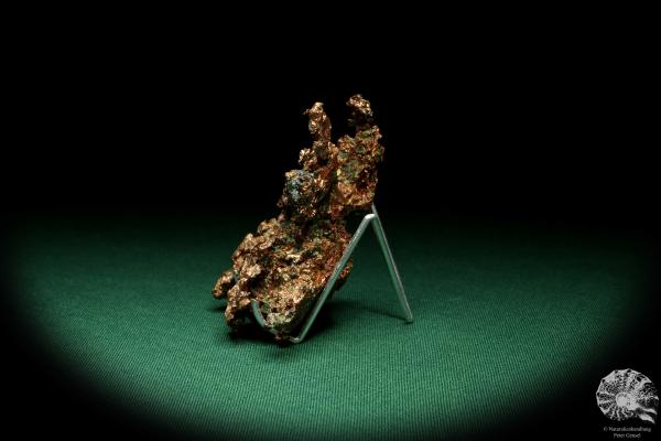 Solid Copper (20121) a mineral from USA | Minerals | Global