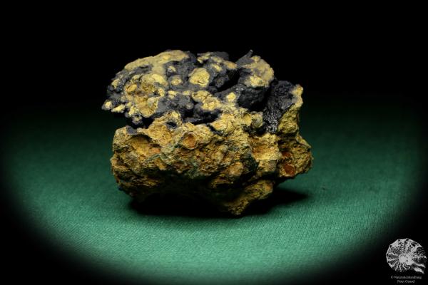 Vivianit XX (20123) ein Mineral aus Ukraine | Mineralien | Weltweit