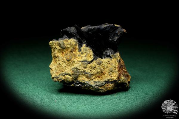 Vivianit XX (20123) ein Mineral aus Ukraine | Mineralien | Weltweit