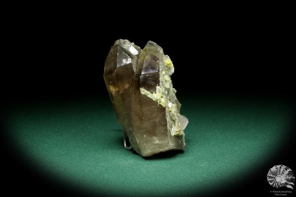 Rauchquarz XX & Fluorit XX & Bertrandit XX & Pyrit XX (20127) ein Mineral aus Kasachstan | Mineralien | Weltweit