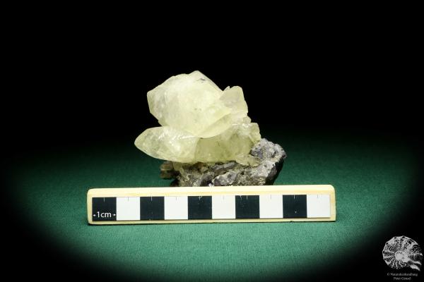 Galena XX & Calcite XX (20132) a mineral from USA | Minerals | Global