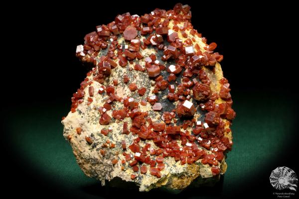 Vanadinit XX (20134) ein Mineral aus Marokko | Mineralien | Weltweit