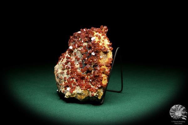 Vanadinite XX (20134) a mineral from Morocco | Minerals | Global