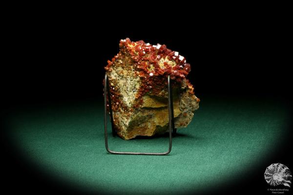 Vanadinit XX (20134) ein Mineral aus Marokko | Mineralien | Weltweit