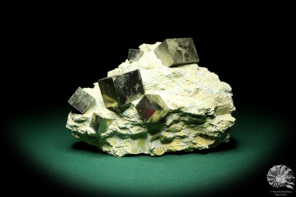 Pyrite XX in Marl Matrix (20139) a mineral from Spain | Minerals | Global