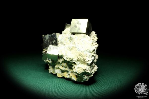 Pyrit XX in Mergelmatrix (20139) ein Mineral aus Spanien | Mineralien | Weltweit