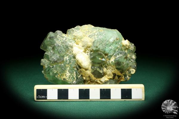 Fluorite XX & Quartz XX (20145) a mineral from Kazakhstan | Minerals | Global