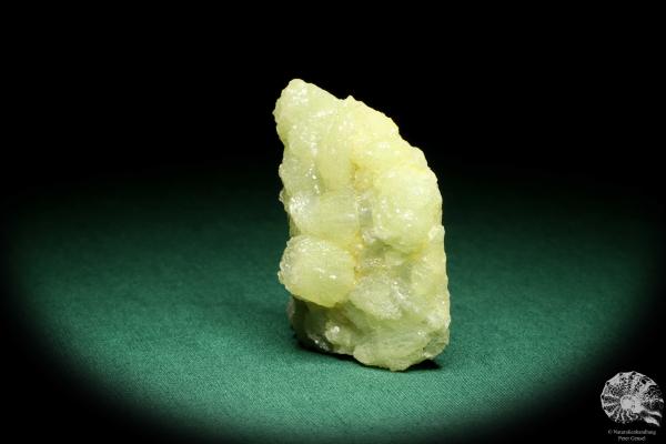 Prehnit XX (20147) ein Mineral aus Tschechien | Mineralien | Weltweit