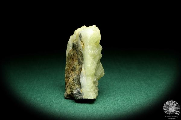 Prehnite XX (20147) a mineral from Czech Republic | Minerals | Global