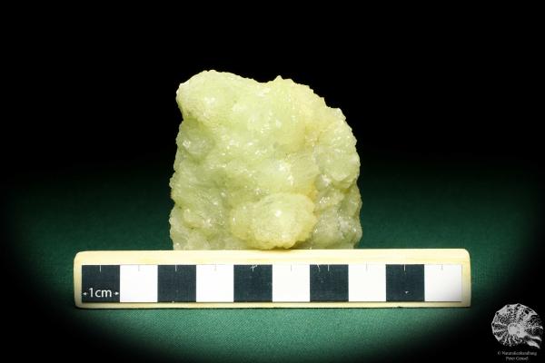 Prehnite XX (20147) a mineral from Czech Republic | Minerals | Global