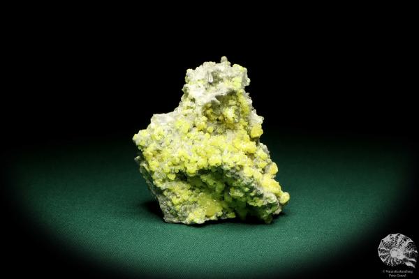 Schwefel XX und Coelestin XX (20149) ein Mineral aus Polen | Mineralien | Weltweit